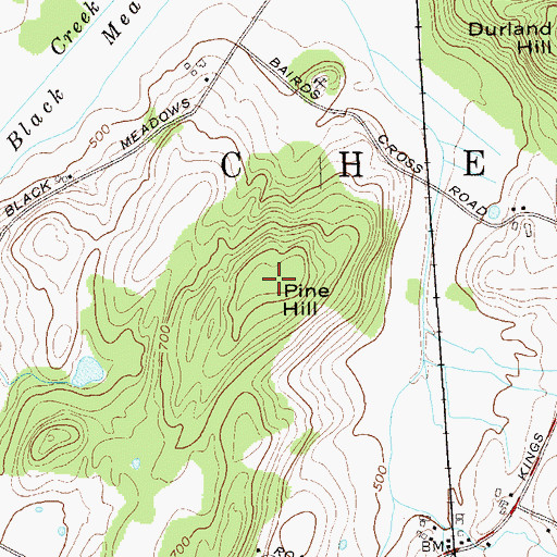 Topographic Map of Pine Hill, NY