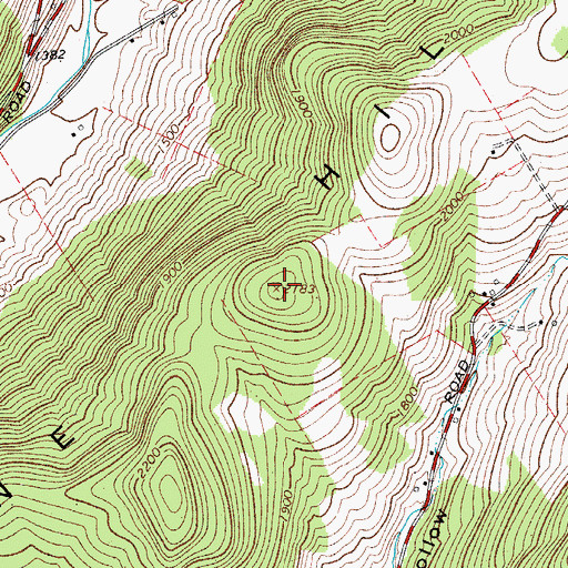 Topographic Map of Pine Hill, NY