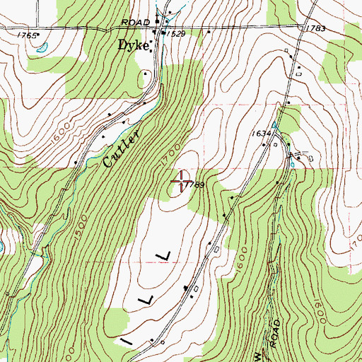 Topographic Map of Pine Hill, NY