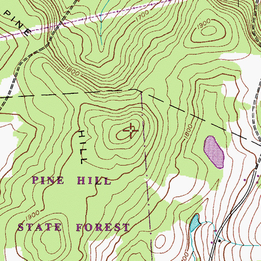 Topographic Map of Pine Hill, NY