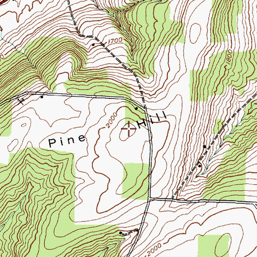 Topographic Map of Pine Hill, NY