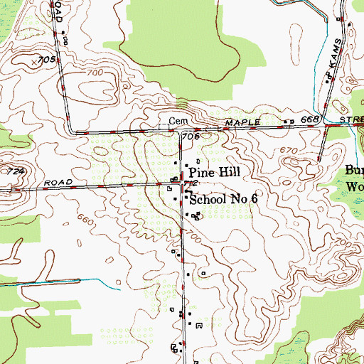 Topographic Map of Pine Hill, NY