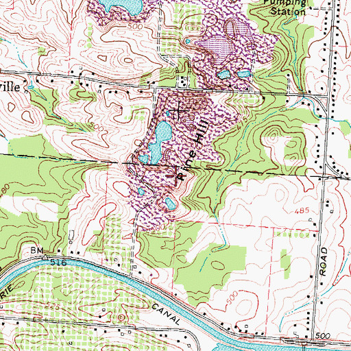 Topographic Map of Pine Hill, NY