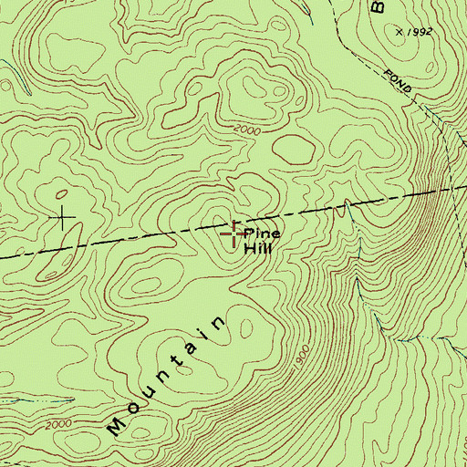 Topographic Map of Pine Hill, NY