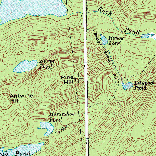 Topographic Map of Pine Hill, NY