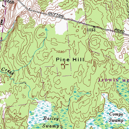 Topographic Map of Pine Hill, NY