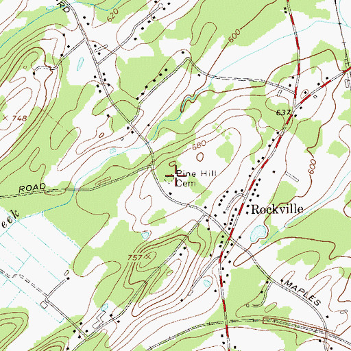 Topographic Map of Pine Hill Cemetery, NY