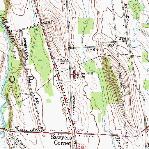 Topographic Map of Pine Hill Cemetery, NY