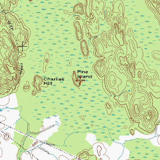 Topographic Map of Pine Island, NY