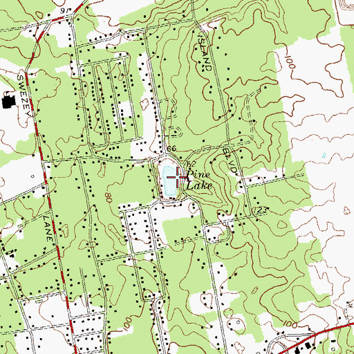 Topographic Map of Pine Lake, NY