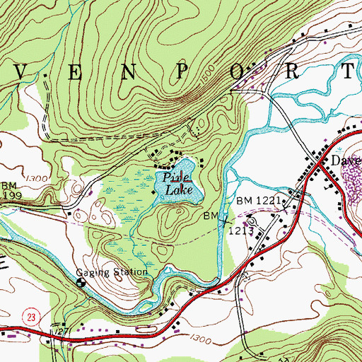 Topographic Map of Pine Lake, NY