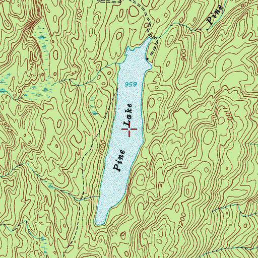 Topographic Map of Pine Lake, NY