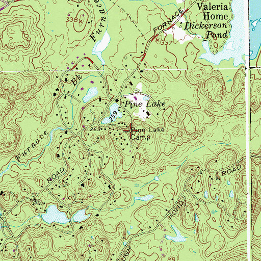 Topographic Map of Pine Lake Camp, NY