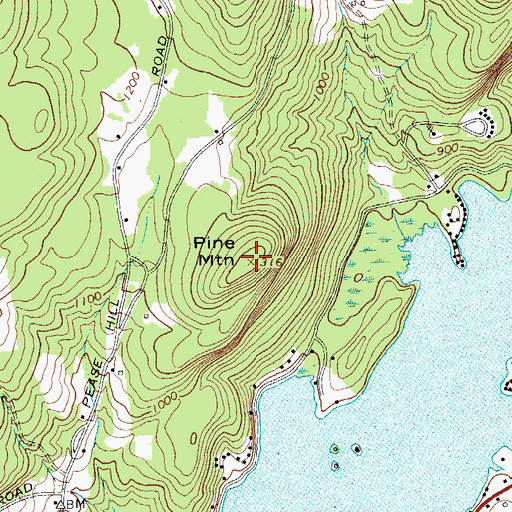 Topographic Map of Pine Mountain, NY