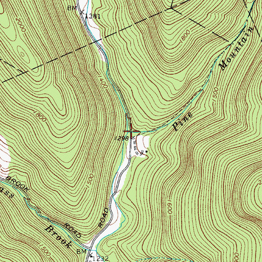 Topographic Map of Pine Mountain Branch, NY