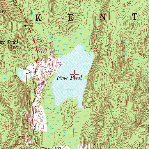 Topographic Map of Pine Pond, NY