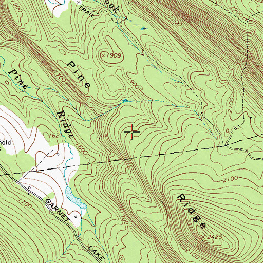 Topographic Map of Pine Ridge, NY