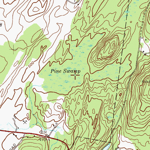 Topographic Map of Pine Swamp, NY