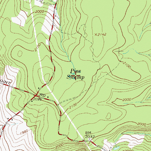 Topographic Map of Pine Swamp, NY