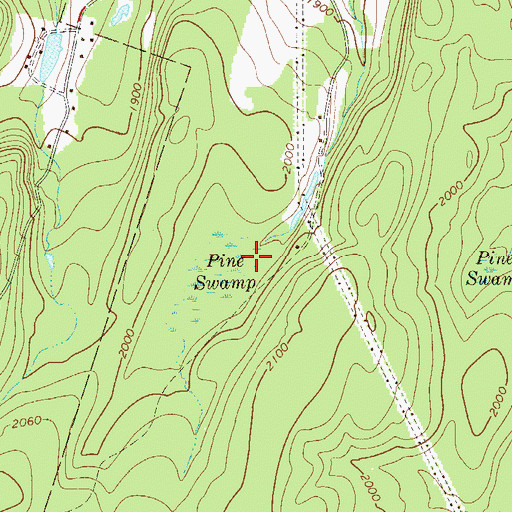 Topographic Map of Pine Swamp, NY