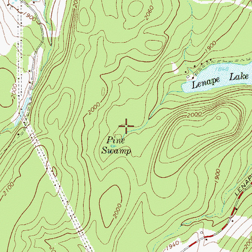 Topographic Map of Pine Swamp, NY
