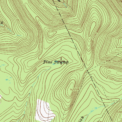 Topographic Map of Pine Swamp, NY