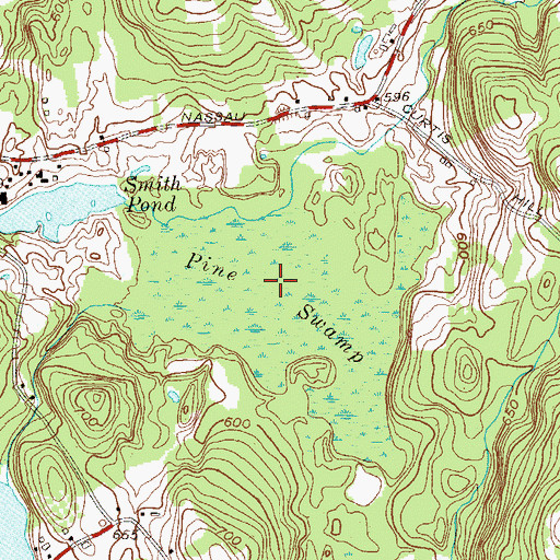 Topographic Map of Pine Swamp, NY