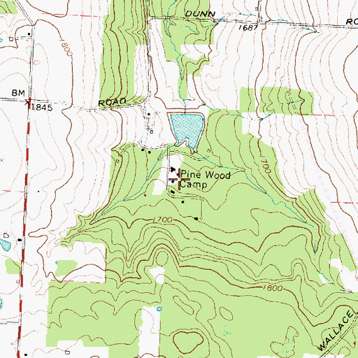 Topographic Map of Pine Wood Camp, NY
