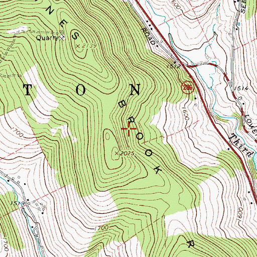 Topographic Map of Pines Brook Ridge, NY