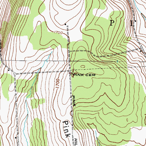 Topographic Map of Pink Cemetery, NY