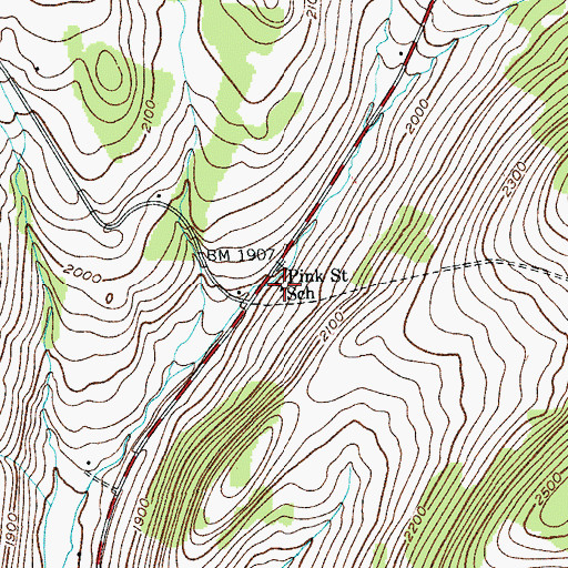 Topographic Map of Pink Street School, NY