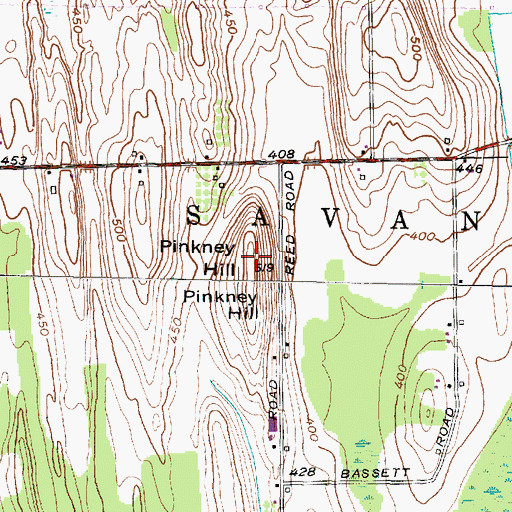 Topographic Map of Pinkney Hill, NY
