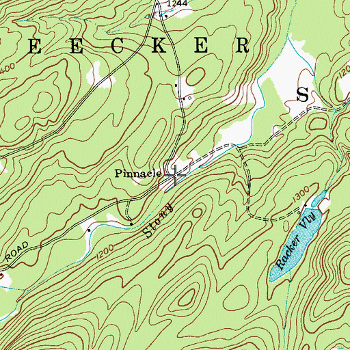 Topographic Map of Pinnacle, NY