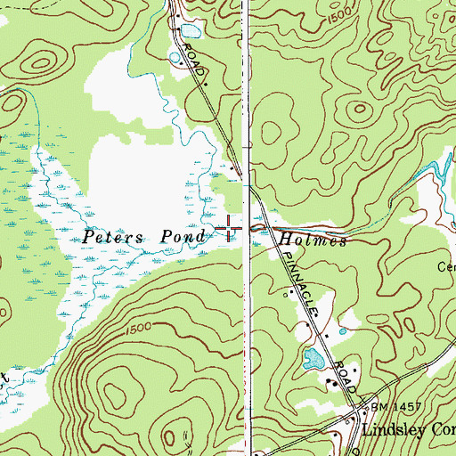 Topographic Map of Pinnacle Creek, NY