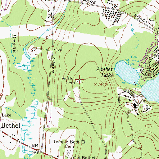 Topographic Map of Pintler Cemetery, NY