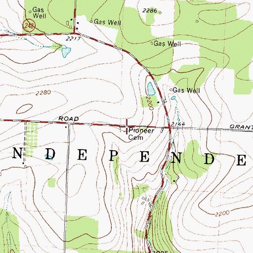 Topographic Map of Pioneer Cemetery, NY