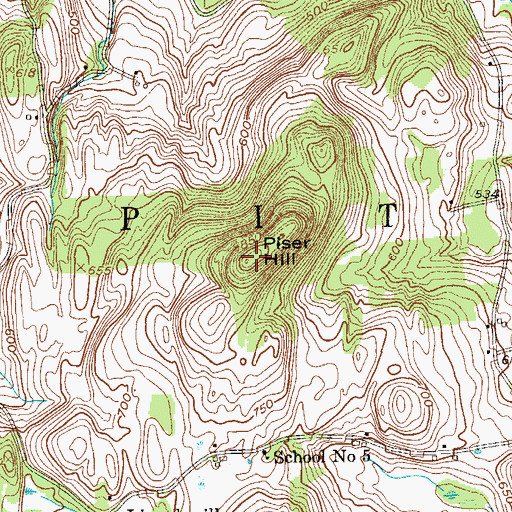 Topographic Map of Piser Hill, NY