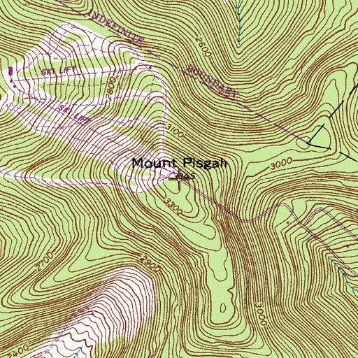 Topographic Map of Mount Pisgah, NY