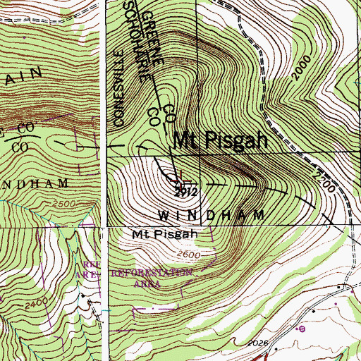 Topographic Map of Mount Pisgah, NY
