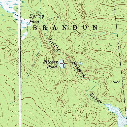Topographic Map of Pitcher Pond, NY
