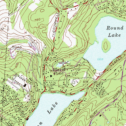 Topographic Map of Placid Pond, NY