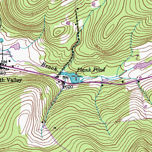 Topographic Map of Plank Pond, NY