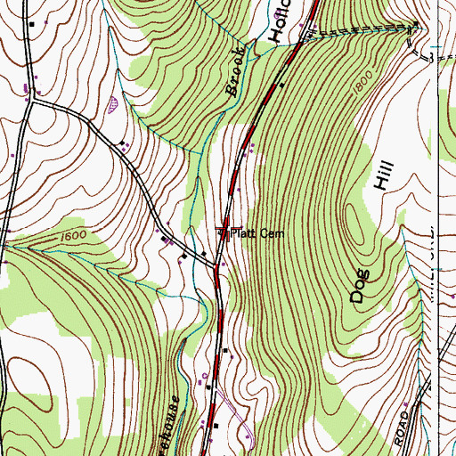 Topographic Map of Platt Cemetery, NY