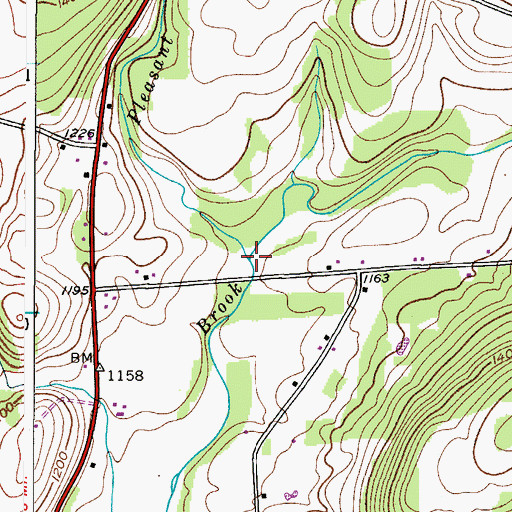 Topographic Map of Pleasant Brook, NY