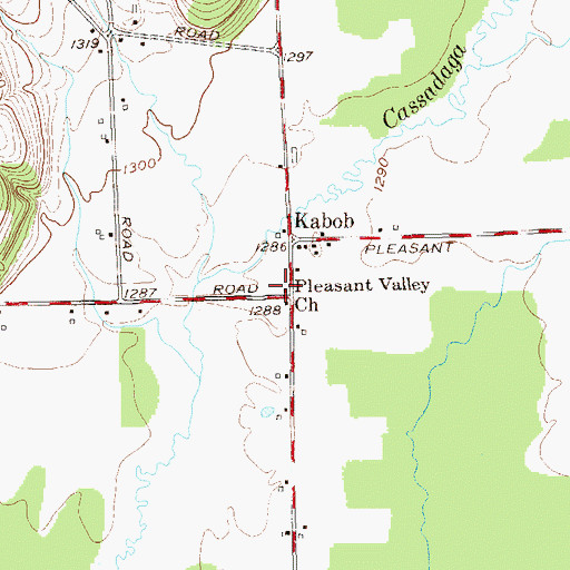 Topographic Map of Pleasant Valley Church, NY