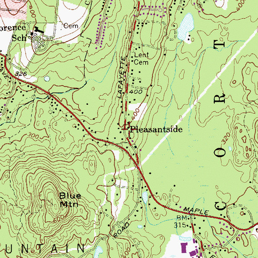 Topographic Map of Pleasantside, NY