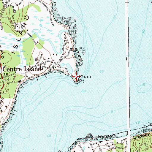 Topographic Map of Plum Point, NY