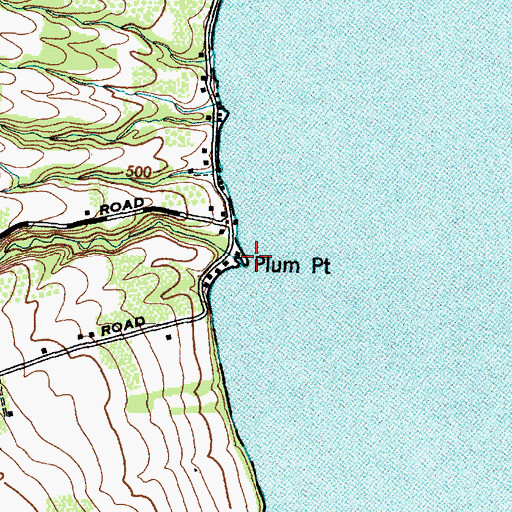 Topographic Map of Plum Point, NY