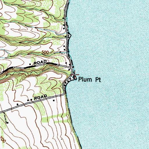Topographic Map of Plum Point Creek, NY