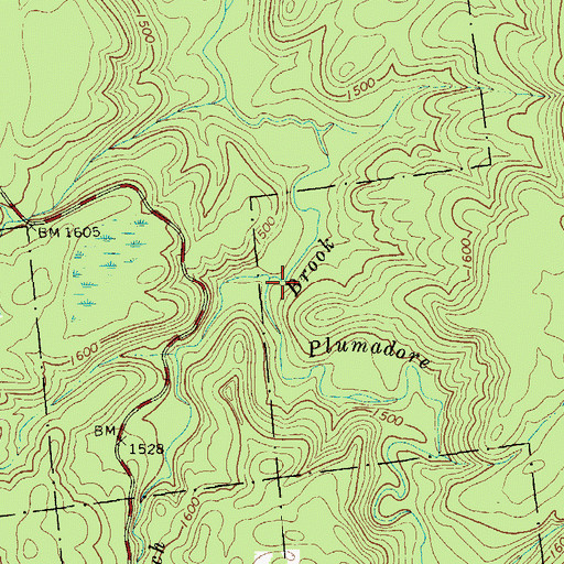 Topographic Map of Plumadore Brook, NY